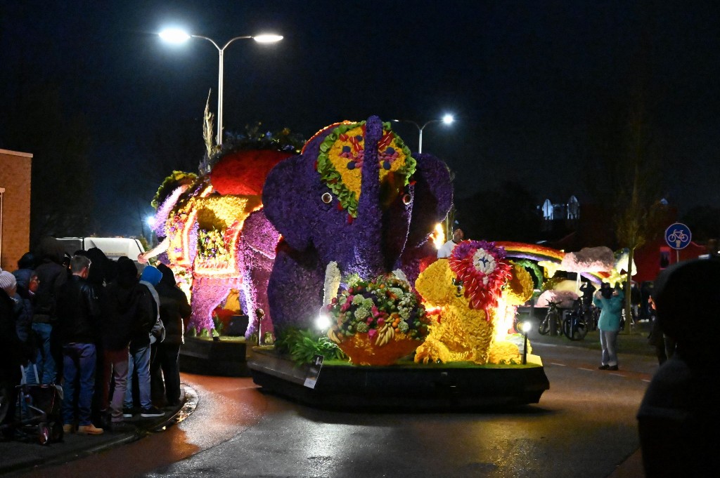 ../Images/Verlicht bloemencorso 2024 103.jpg